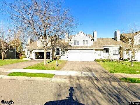 Coneflower, EDEN PRAIRIE, MN 55346