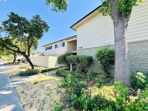 Adelaide, CONCORD, CA 94520