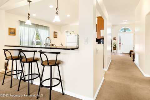 Red Bloom, BROOKSVILLE, FL 34604