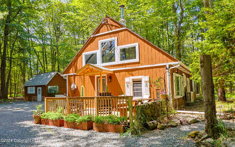 Rhododendron, POCONO SUMMIT, PA 18346