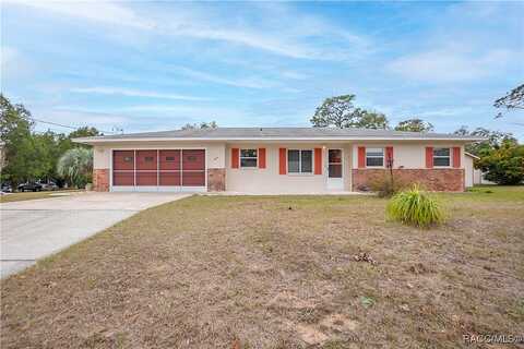 Palm, INVERNESS, FL 34452