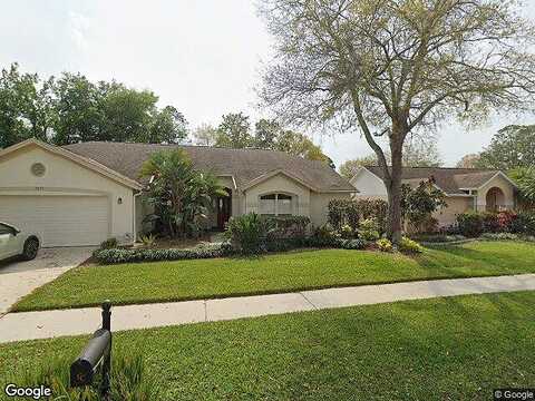Rockrose, TAMPA, FL 33647