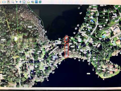 Devilsneck, FLORAL CITY, FL 34436