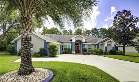 Mimosa, HOMOSASSA, FL 34446