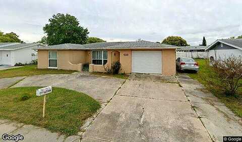 Parrot, PORT RICHEY, FL 34668