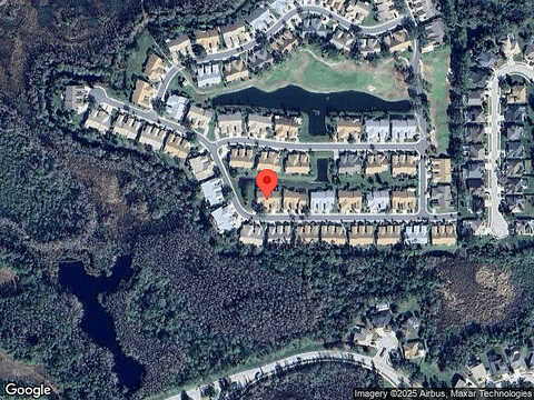 Cleopatra, LAND O LAKES, FL 34637