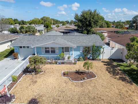 Parrot, PORT RICHEY, FL 34668