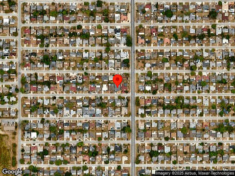 Parrot, PORT RICHEY, FL 34668