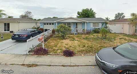 Parrot, PORT RICHEY, FL 34668
