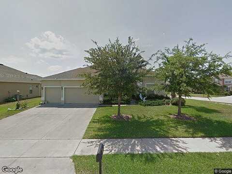 Santee Terre, WINTER GARDEN, FL 34787