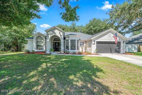 Buttonbush, TITUSVILLE, FL 32796