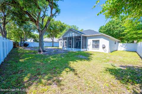 Buttonbush, TITUSVILLE, FL 32796