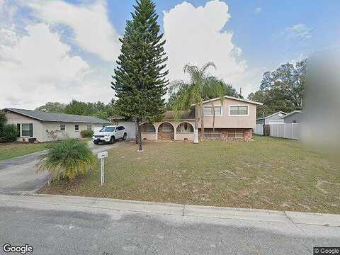 Elm Tree, BRANDON, FL 33510