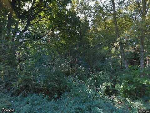 21St, LA CENTER, WA 98629