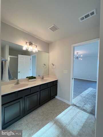 Sara, LOCUST GROVE, VA 22508