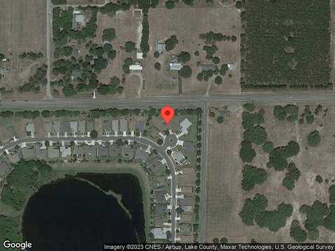 Plymouth Rock, MOUNT DORA, FL 32757