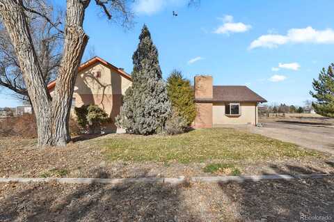 Iris, PUEBLO, CO 81006