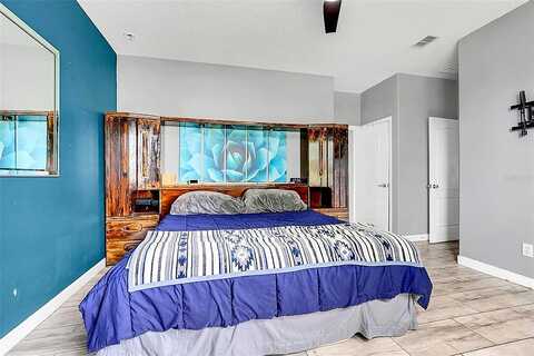 Golden Aster, CLERMONT, FL 34711