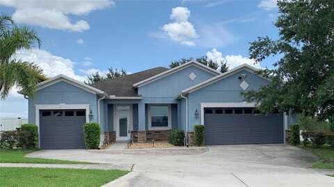 Golden Aster, CLERMONT, FL 34711