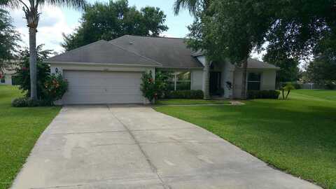 Barn Wood, LEESBURG, FL 34748