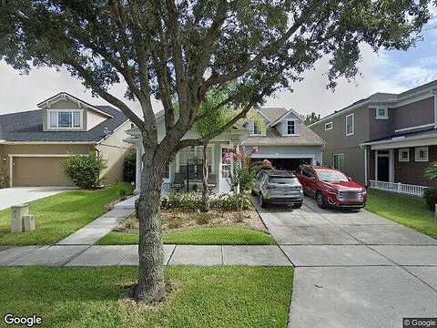 Saffron Plum, ORLANDO, FL 32828