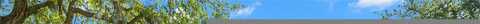 Sorawater, LITHIA, FL 33547