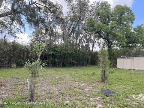 Lancer, SPRING HILL, FL 34610