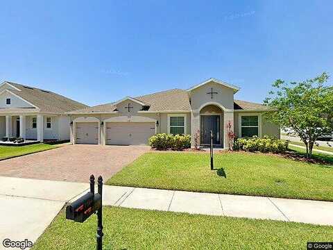 Alligator, SAINT CLOUD, FL 34771