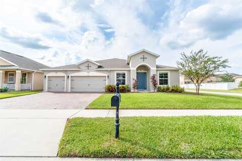 Alligator, SAINT CLOUD, FL 34771
