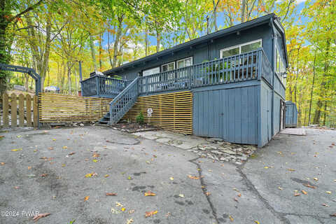 Buttercup, MILFORD, PA 18337