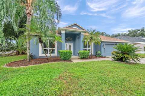 Split Silk, VALRICO, FL 33594