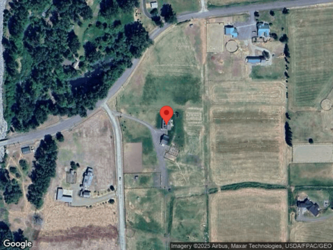 Pheasant, CLE ELUM, WA 98922