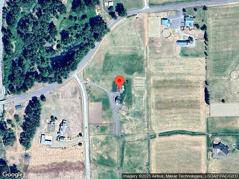 Pheasant, CLE ELUM, WA 98922