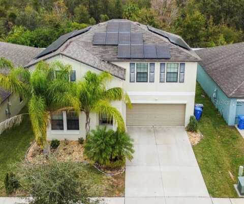 Carloway Hills, WIMAUMA, FL 33598