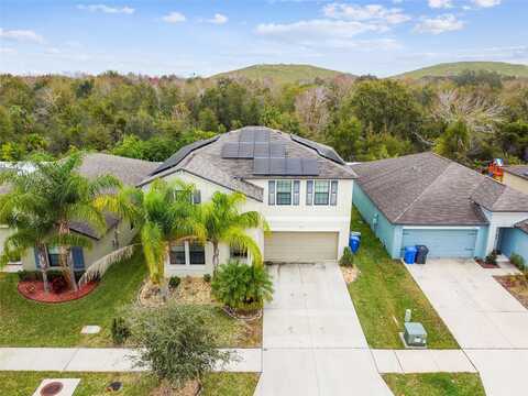 Carloway Hills, WIMAUMA, FL 33598