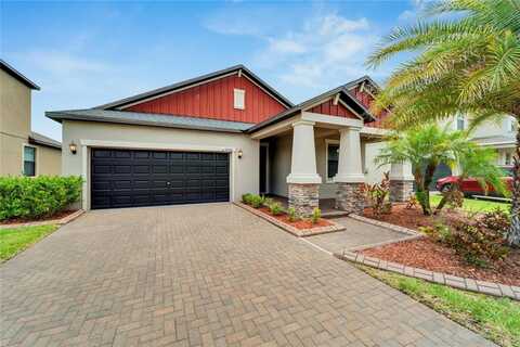 Ivory, SUN CITY CENTER, FL 33573