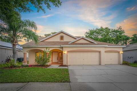 Cattail Shore, RIVERVIEW, FL 33579