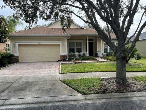 Crepe Myrtle, GROVELAND, FL 34736