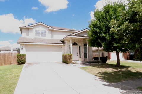 Shetland, SAN ANTONIO, TX 78254