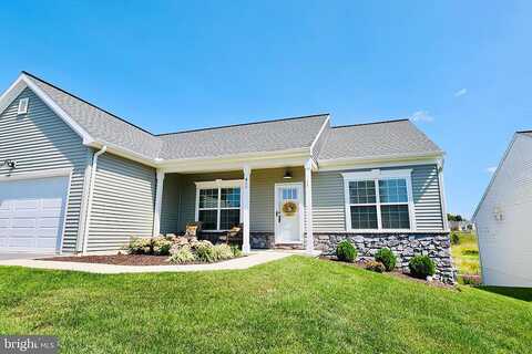 Orchid, LEBANON, PA 17046