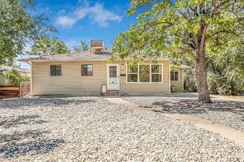 Bunting, GRAND JUNCTION, CO 81501