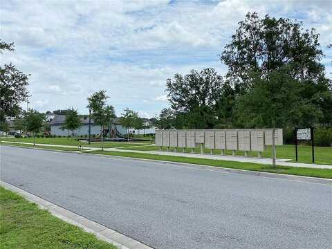 Blooming Cherry, GROVELAND, FL 34736