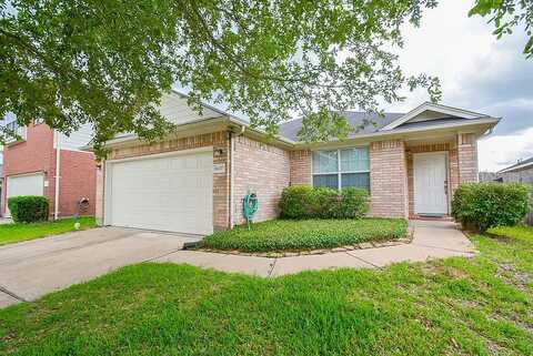 Bandicoot, SUGAR LAND, TX 77498