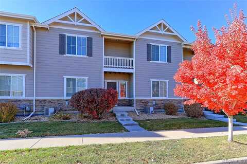 Bistre, LONGMONT, CO 80501