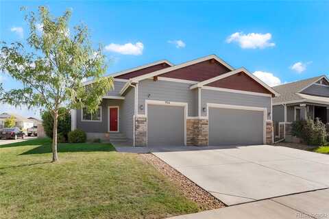 Pioneer, MILLIKEN, CO 80543