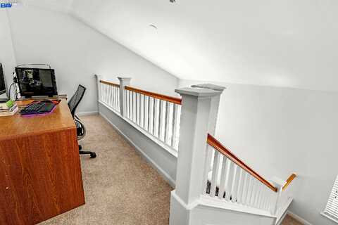 Ash, BRENTWOOD, CA 94513