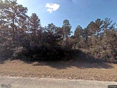 Viola, EUSTIS, FL 32736