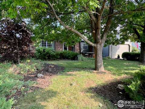 Delcon, LOVELAND, CO 80538
