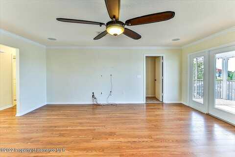 Spanish Bayonet, HERNANDO BEACH, FL 34607