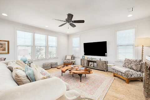 Conifer, INLET BEACH, FL 32461